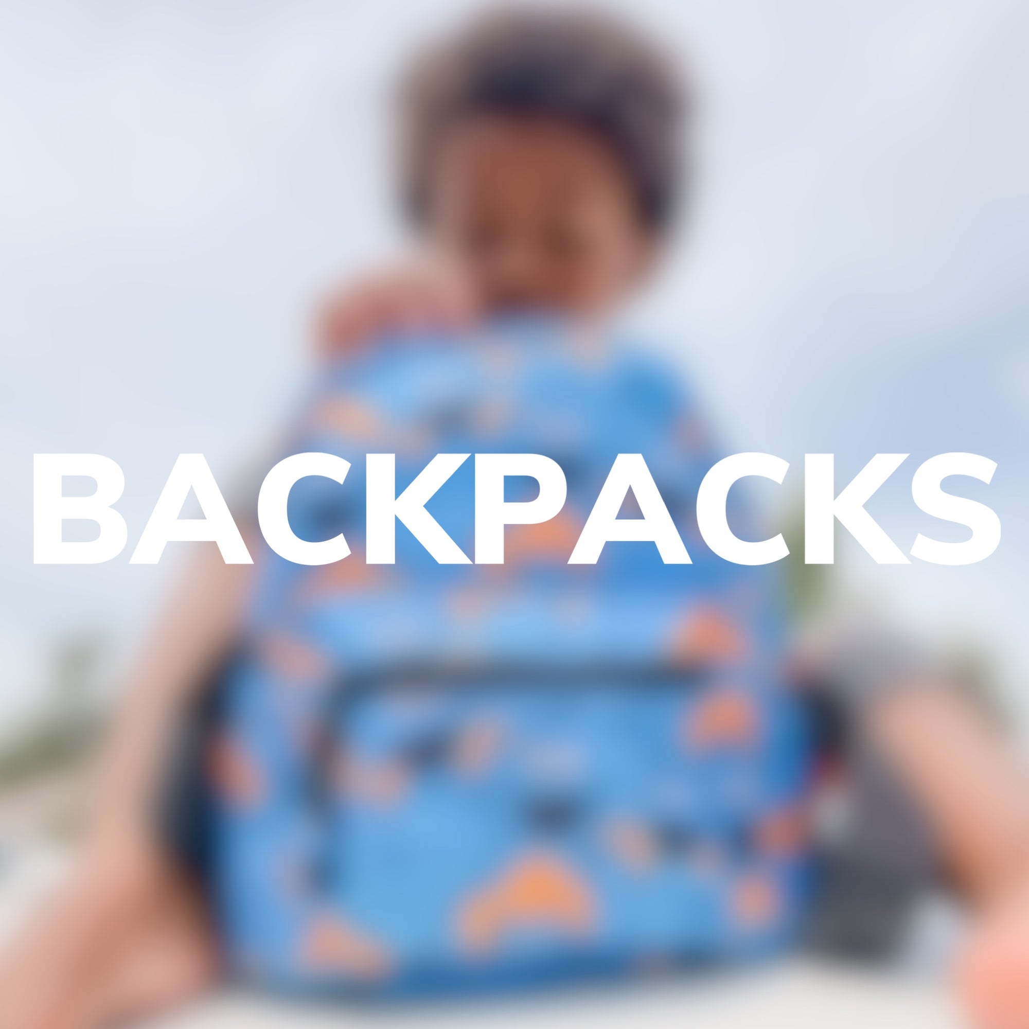 
    RTS BACKPACKS &amp; LUNCH BAGS
  