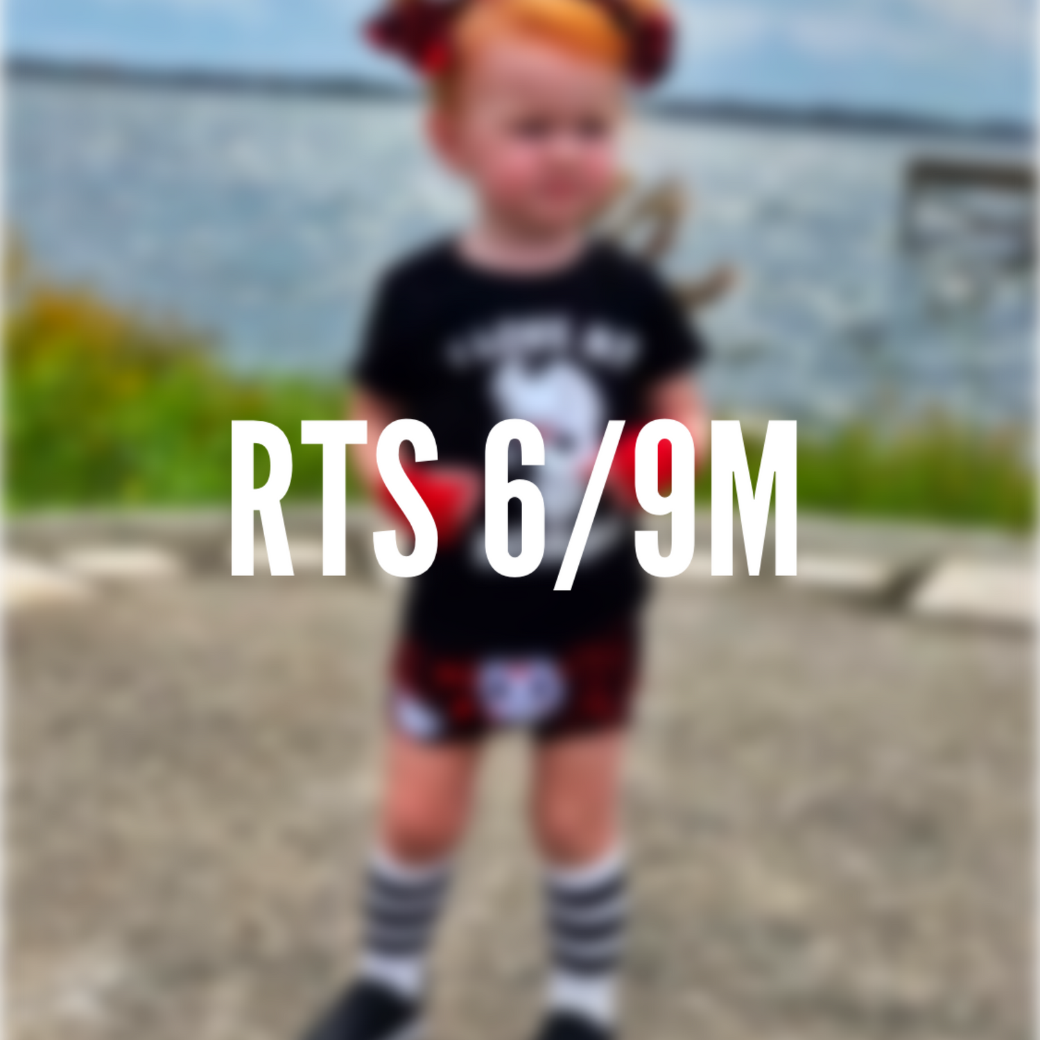 6/9M RTS